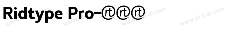 Ridtype Pro字体转换